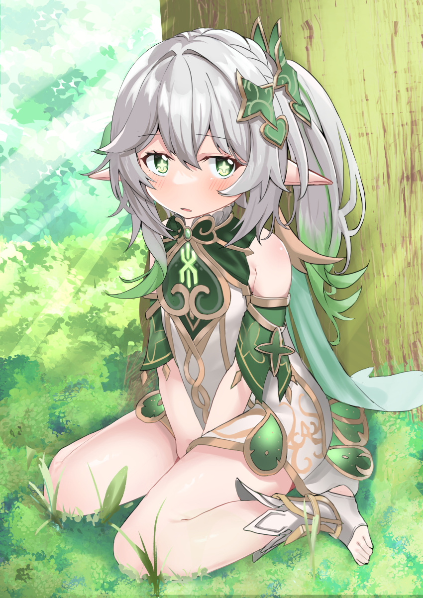 1girl absurdres bangs blurry blush commentary_request depth_of_field detached_sleeves dress forest genshin_impact gradient_hair grass green_eyes grey_hair hair_between_eyes highres long_hair looking_at_viewer multicolored_hair nahida_(genshin_impact) nature olecafe2 parted_lips pointy_ears short_sleeves side_ponytail sidelocks sitting solo stirrup_legwear sunlight symbol-shaped_pupils toeless_legwear tree v_arms wariza white_dress