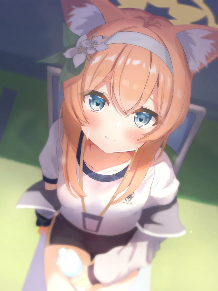 1girl absurdres akiyuki_nagi animal_ear_fluff animal_ears bangs blue_archive blue_eyes blush bottle closed_mouth flower from_above gym_shorts gym_uniform hair_flower hair_ornament hairband halo headband highres holding holding_bottle jacket long_hair looking_at_viewer looking_up mari_(blue_archive) mari_(gym_uniform)_(blue_archive) multicolored_clothes multicolored_jacket official_alternate_costume orange_hair plastic_bottle ponytail shorts sitting solo sportswear sweat track_jacket two-tone_jacket water_bottle white_flower white_hairband white_headband