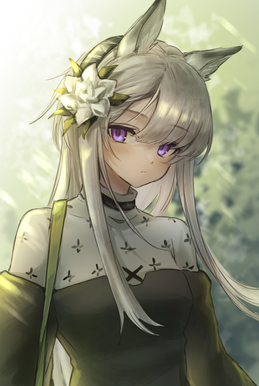 1girl 3_(sanyako1) animal_ear_fluff animal_ears arknights backlighting bangs black_dress blush closed_mouth covered_collarbone dark-skinned_female dark_skin day dress flower grey_hair hair_flower hair_ornament heavyrain_(arknights) heavyrain_(tranquil_moss)_(arknights) highres horse_ears long_hair looking_at_viewer official_alternate_costume outdoors solo sunlight upper_body very_long_hair violet_eyes white_flower