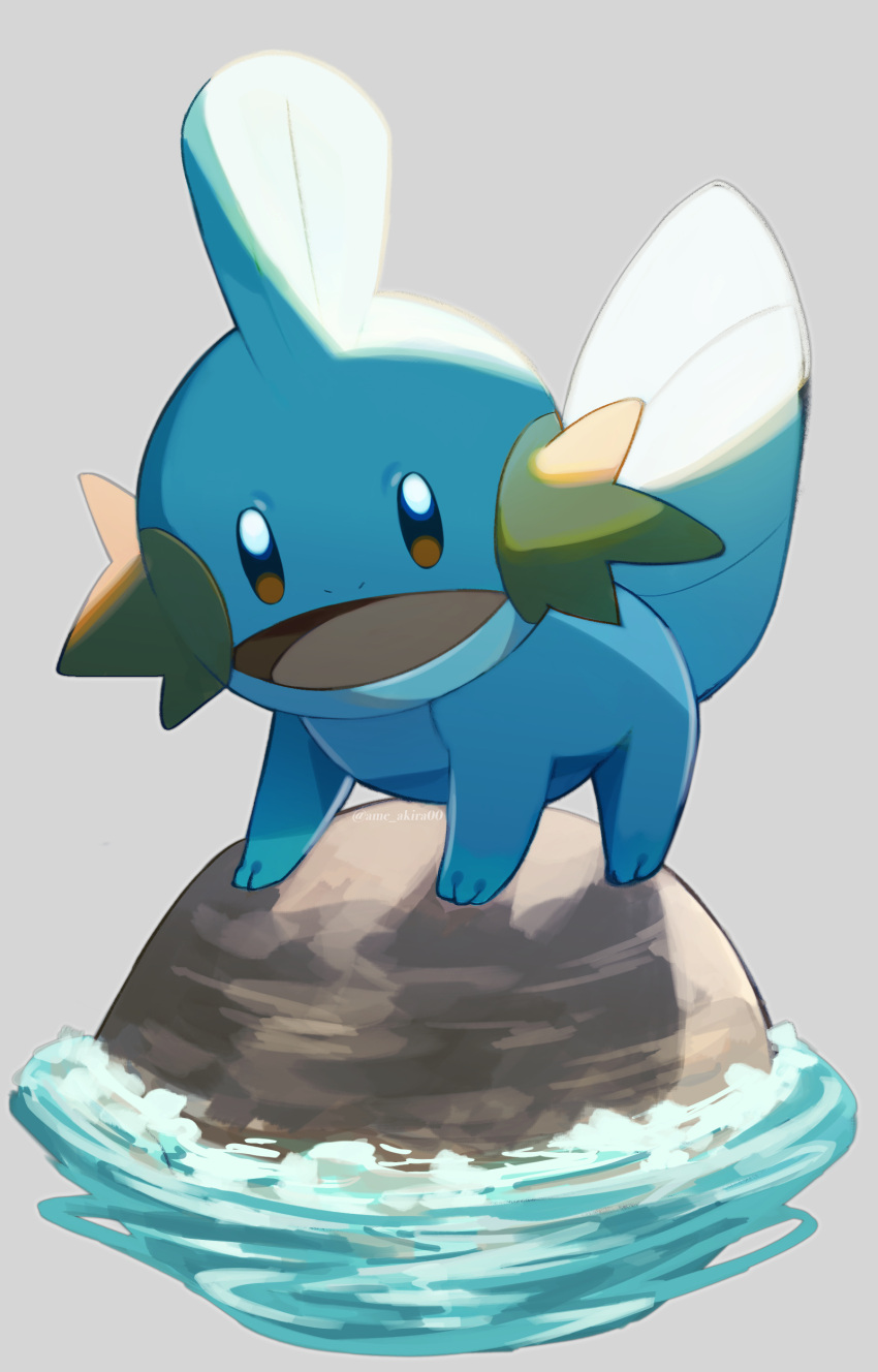 absurdres ame_akira animal_focus brown_eyes commentary_request full_body grey_background highres looking_at_viewer mudkip open_mouth pokemon pokemon_(creature) rock standing tongue water