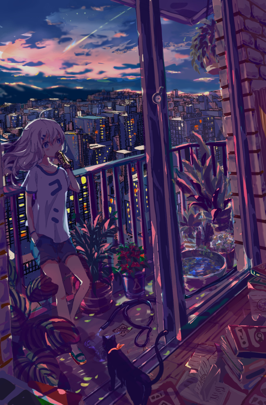 1girl ahoge balcony black_cat blue_shorts blush book book_stack building c4_art can canned_coffee cat city cityscape clouds commentary drinking evening flower full_body hair_between_eyes highres holding holding_can hose indoors long_hair looking_at_viewer original plant potted_plant railing red_flower scenery shirt shooting_star shorts skyscraper sliding_doors solo standing t-shirt twilight water white_hair white_shirt