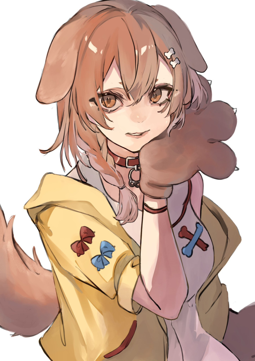 1girl animal_ears animal_hands bangs blue_bow bone_hair_ornament bow bracelet braid breasts brown_eyes brown_hair collar dog_ears dog_girl dog_tail dress gloves hair_between_eyes hair_ornament highres hololive inugami_korone jacket jewelry looking_at_viewer medium_breasts off_shoulder parted_lips paw_gloves red_bow red_collar solo tail twin_braids virtual_youtuber vivi_(skuskuma_) white_background white_dress yellow_jacket