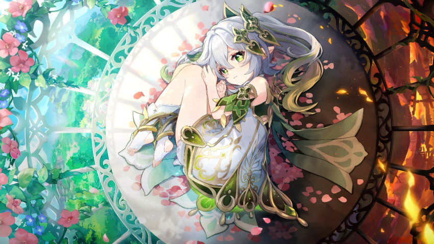 1girl bangs cage commentary_request detached_sleeves dress flower from_above full_body genshin_impact gradient_hair green_eyes hair_between_eyes hair_ornament knees_to_chest long_hair looking_at_viewer looking_to_the_side lying multicolored_hair nahida_(genshin_impact) on_side petals pink_no_sakura pointy_ears short_sleeves side_ponytail sidelocks solo stirrup_legwear symbol-shaped_pupils toeless_legwear toes white_dress white_hair