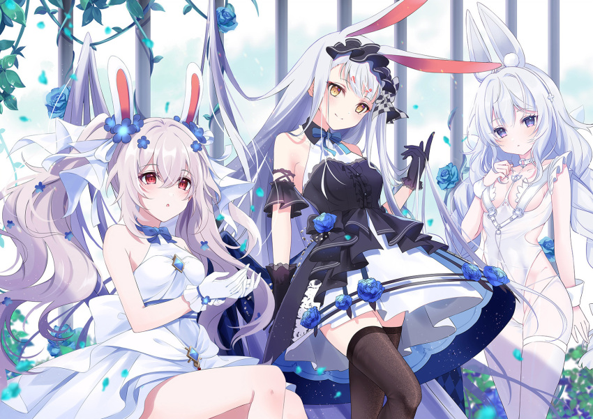 +_+ 3girls animal_ears azur_lane bare_shoulders black_dress blue_bow blue_flower blue_gemstone blue_rose bow braid breasts brown_thighhighs center_frills choker crotchless crotchless_pantyhose dress fake_animal_ears flower frilled_dress frilled_gloves frills gem gloves grey_hair hairband hakazenanato highres laffey_(azur_lane) laffey_(white_rabbit's_oath)_(azur_lane) le_malin_(azur_lane) le_malin_(listless_lapin)_(azur_lane) leotard lolita_hairband long_hair low_twin_braids multiple_girls nontraditional_playboy_bunny o-ring o-ring_choker official_alternate_costume official_art pantyhose playboy_bunny rabbit_ears rabbit_girl rabbit_tail red_eyes rose shimakaze_(azur_lane) shimakaze_(the_white_rabbit_of_wonderland)_(azur_lane) short_dress sleeveless sleeveless_dress small_breasts standing strapless strapless_dress tail thigh-highs twin_braids twintails two-tone_dress violet_eyes wedding_dress white_choker white_dress white_gloves white_leotard white_pantyhose wrist_cuffs yellow_eyes zettai_ryouiki