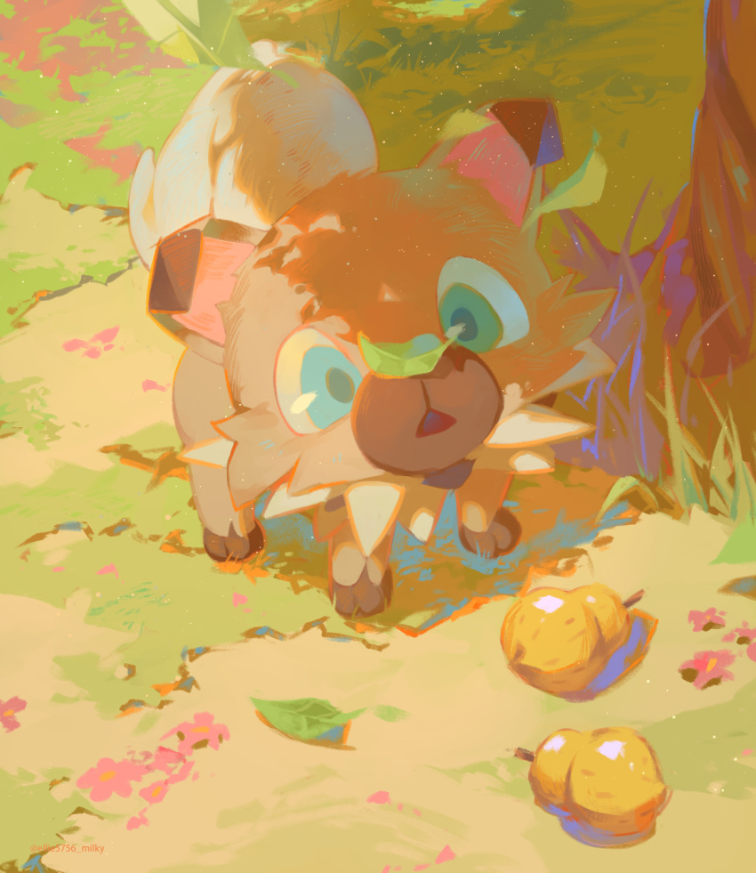 animal_focus berry_(pokemon) commentary day ellie_niunai_zhuyi_zhe full_body grass green_eyes highres leaf no_humans outdoors pokemon pokemon_(creature) rockruff sitrus_berry solo tree