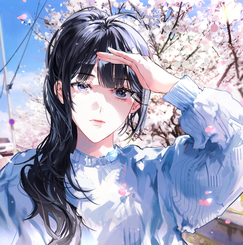 1girl arm_up bangs black_hair blue_shirt blunt_bangs character_request cherry_blossoms closed_mouth commentary_request day eoduun_badaui_deungbul-i_doeeo grey_eyes hair_over_shoulder highres korean_commentary long_hair long_sleeves outdoors petals shading_eyes shirt solo sulyeon311 upper_body utility_pole