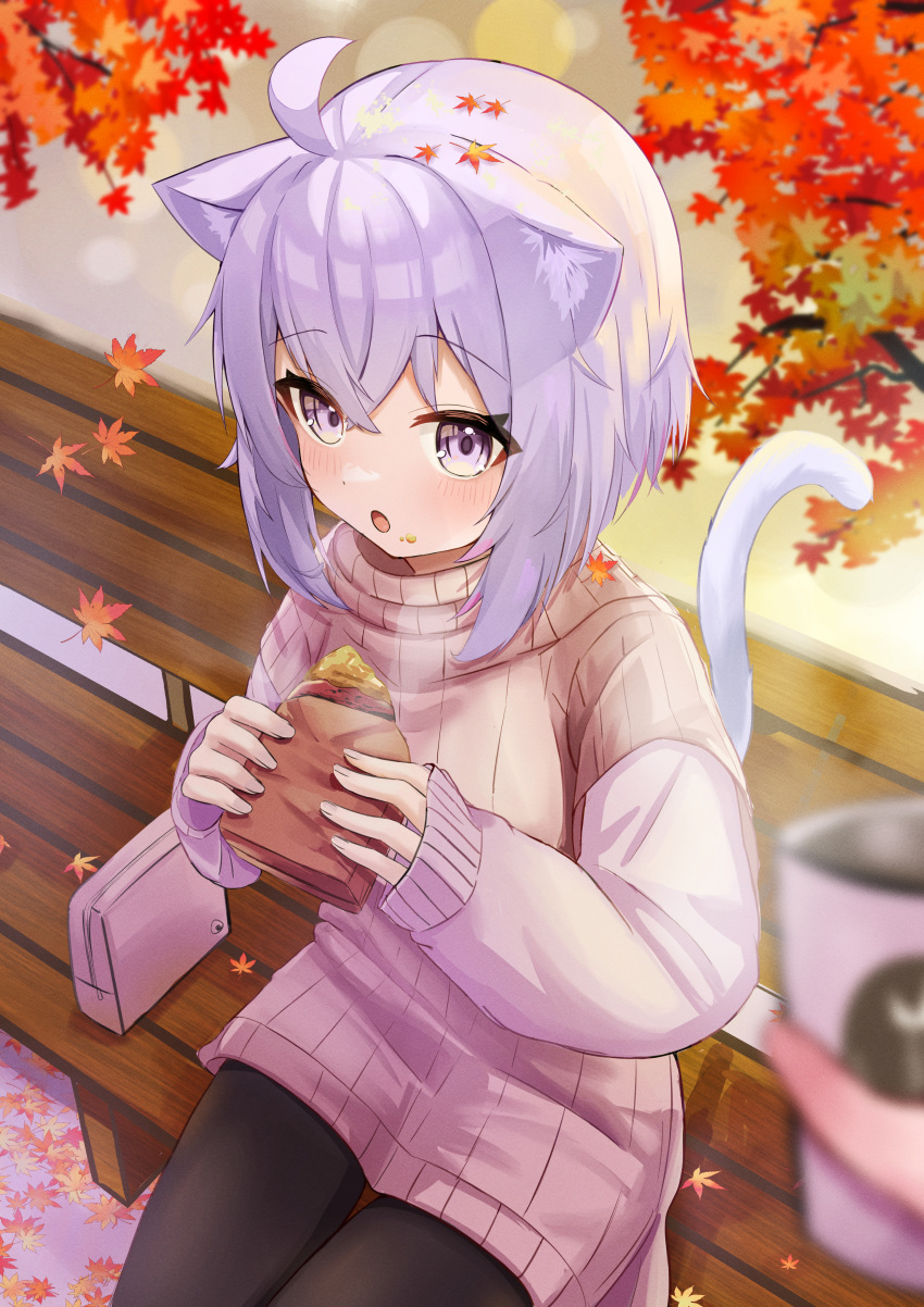 1girl absurdres ahoge animal_ear_fluff animal_ears autumn autumn_leaves bag bench black_pants blush cat_ears cat_girl cat_tail commentary_request crumbs food handbag highres hololive looking_at_viewer nekomata_okayu on_bench open_mouth pants parijennu222 park_bench purple_hair purple_sweater sandwich sweater tail violet_eyes virtual_youtuber