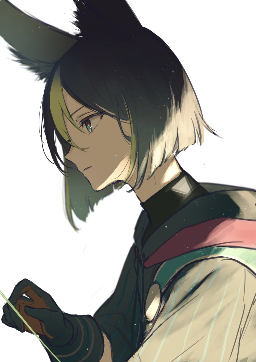 1boy animal_ear_fluff animal_ears bangs black_gloves black_hair black_shirt blunt_ends brown_eyes commentary expressionless eyelashes fox_boy fox_ears genshin_impact gloves green_eyes green_hair hair_between_eyes hand_up highres hood hood_down hoodie light_particles long_sleeves male_focus medal mskmmti multicolored_clothes multicolored_eyes multicolored_hair profile shirt short_hair sidelocks simple_background solo streaked_hair tighnari_(genshin_impact) turtleneck upper_body white_background