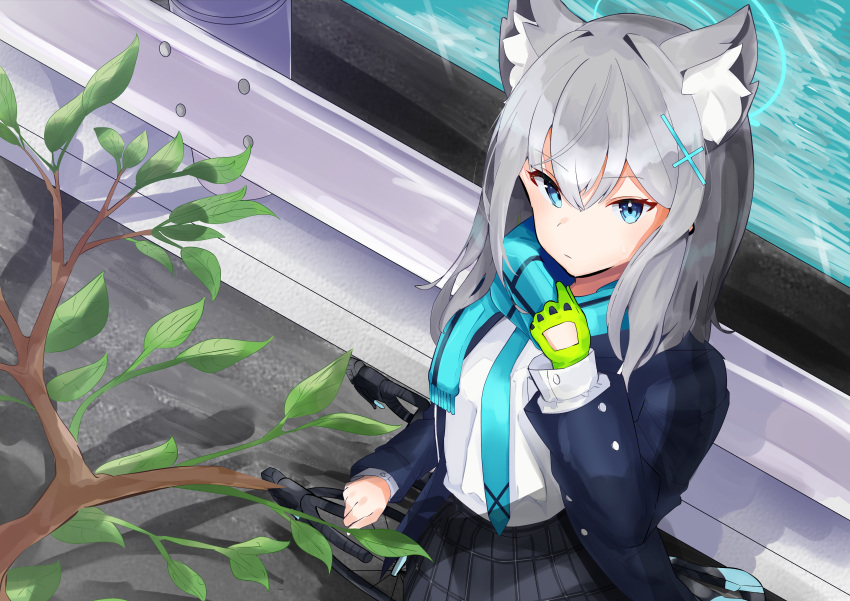 1girl absurdres animal_ear_fluff animal_ears bangs bicycle black_skirt blue_archive blue_eyes blue_jacket blue_scarf cat_ears closed_mouth gloves green_gloves grey_hair ground_vehicle h-yasui halo highres jacket long_hair long_sleeves looking_at_viewer outdoors scarf school_uniform shiroko_(blue_archive) shirt single_glove skirt solo white_shirt
