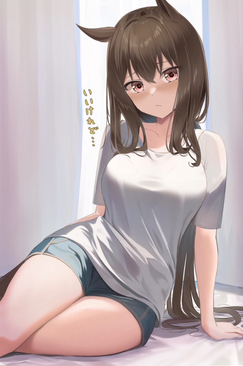 1girl admire_vega_(umamusume) alternate_costume blush brown_hair closed_mouth commentary_request curtains hair_between_eyes highres long_hair ponytail ryouta_(ryouta335) shirt shorts solo thighs translation_request umamusume violet_eyes