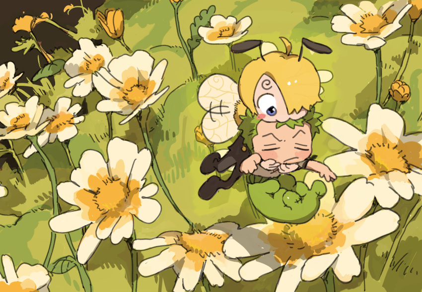 absurdres bee_boy biting blonde_hair blush_stickers caterpillar caterpillar_boy chibi curly_eyebrows facial_hair field flower flower_field flying goatee green_hair hair_over_one_eye head_biting highres male_focus no.6_(numberr_6) one_piece roronoa_zoro sanji_(one_piece) short_hair sleeping wings