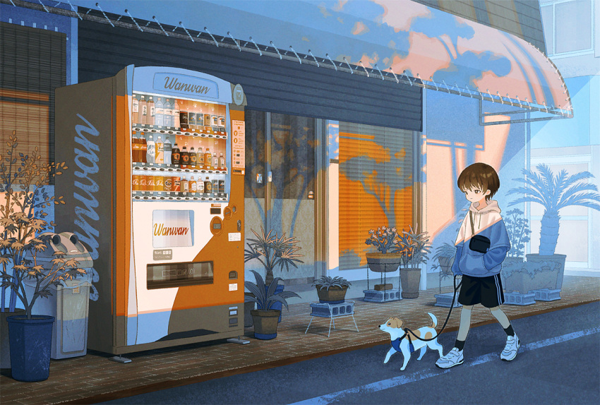 1boy animal brown_hair building can child day dog grey_sweater holding holding_leash leash male_child male_focus original outdoors plant potted_plant road sasakure_(mogunonbi) scenery shoes short_hair shorts sneakers soda_bottle soda_can sweater town trash_can vending_machine white_shorts