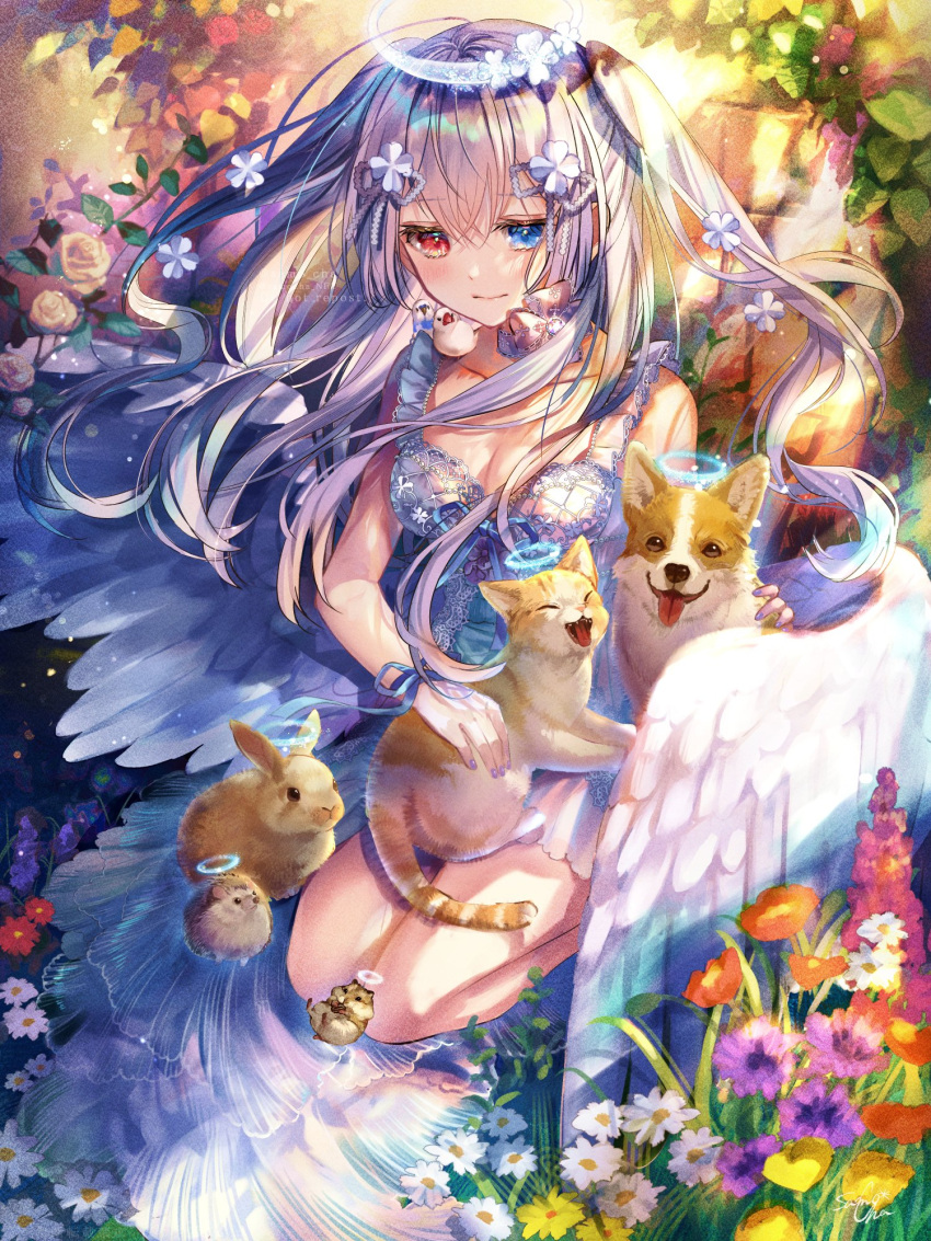 1girl angel_wings animal animal_on_lap bangs bare_legs bird black_eyes blue_eyes blue_ribbon cat closed_eyes closed_mouth colorful day dog dress english_commentary english_text fangs flower grey_hair grey_ribbon hair_between_eyes hair_flower hair_ornament hair_ribbon halo hamster hand_on_animal heterochromia highres leaf light_blue_ribbon long_hair looking_at_viewer looking_down on_lap orange_flower original petting plant porcupine purple_flower purple_nails rabbit red_eyes red_flower ribbon rose san_mokmok05 seiza shirt sitting sleeveless sleeveless_dress smile tongue tongue_out watermark welsh_corgi white_flower white_hair white_ribbon white_rose white_shirt white_wings wings yellow_flower