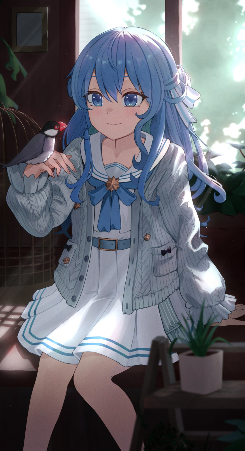 1girl absurdres arm_support backlighting bangs belt bird bird_on_hand blue_belt blue_cardigan blue_hair blue_ribbon blurry blurry_background blurry_foreground cardigan closed_mouth commentary_request depth_of_field dress eyelashes feet_out_of_frame hair_ribbon hand_up highres hololive hoshimachi_suisei indoors long_sleeves looking_at_another neck_ribbon plant pleated_dress potted_plant ribbon sailor_collar shadow sidelocks sitting smile solo st_elmomomo star_(symbol) star_in_eye striped striped_ribbon symbol_in_eye virtual_youtuber white_dress white_ribbon window