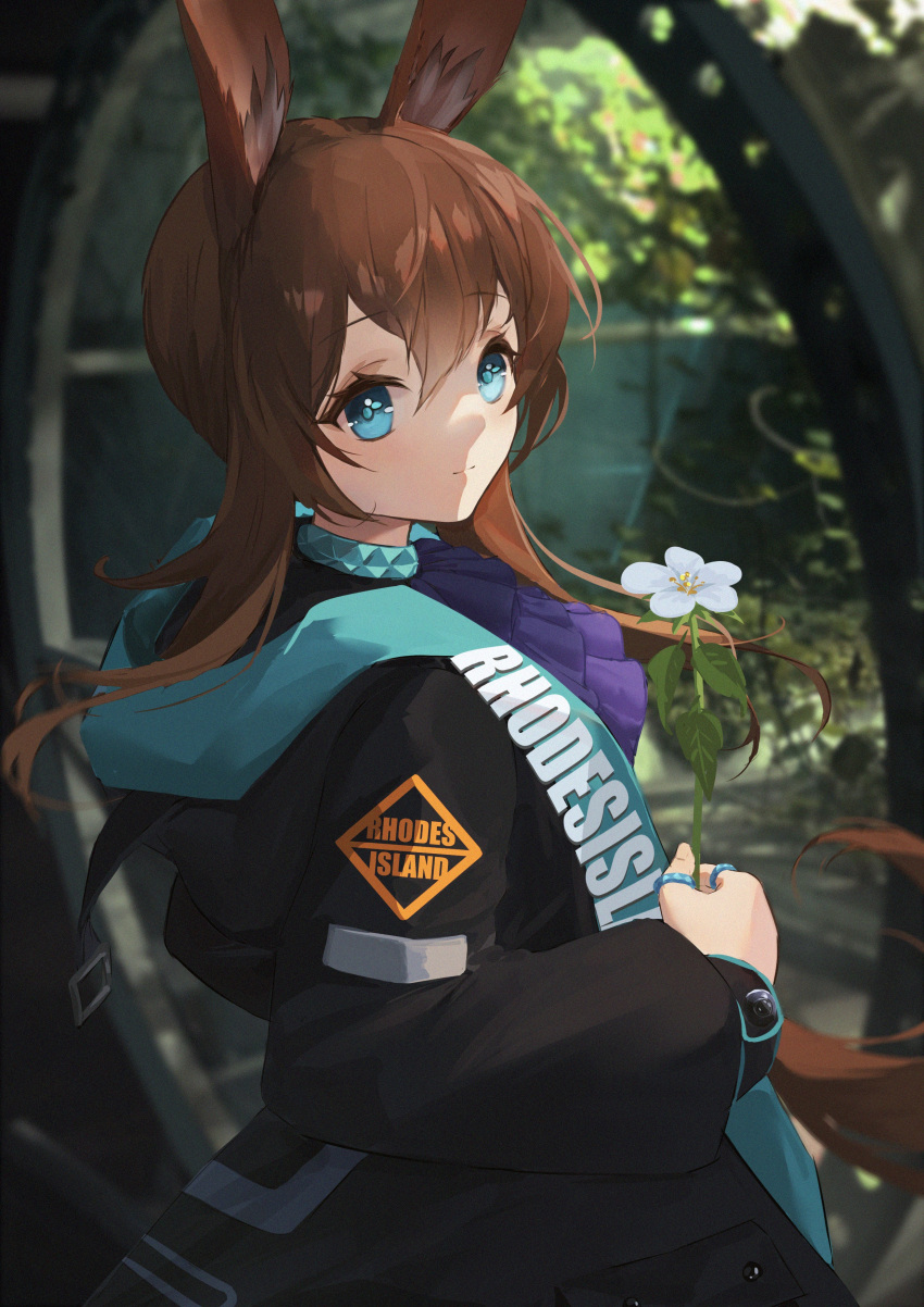 1girl absurdres amiya_(arknights) arknights ascot blue_ascot blue_collar blue_eyes brown_hair clothes_writing collar flower hair_between_eyes highres holding holding_flower jacket jewelry long_hair long_sleeves looking_at_viewer multiple_rings neck_ring open_clothes open_jacket ring sidelocks siyu_csy solo thumb_ring upper_body white_flower