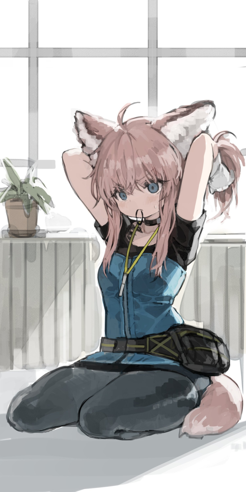 1girl absurdres animal_ear_fluff animal_ears arknights arms_behind_head arms_up bangs black_pantyhose blue_eyes fox_ears fox_girl fox_tail full_body gloves hair_between_eyes highres indoors infection_monitor_(arknights) kkaebing on_floor oripathy_lesion_(arknights) pantyhose pink_hair plant potted_plant short_shorts short_sleeves shorts simple_background sitting solo sussurro_(arknights) sweat tail tying_hair white_background white_gloves window