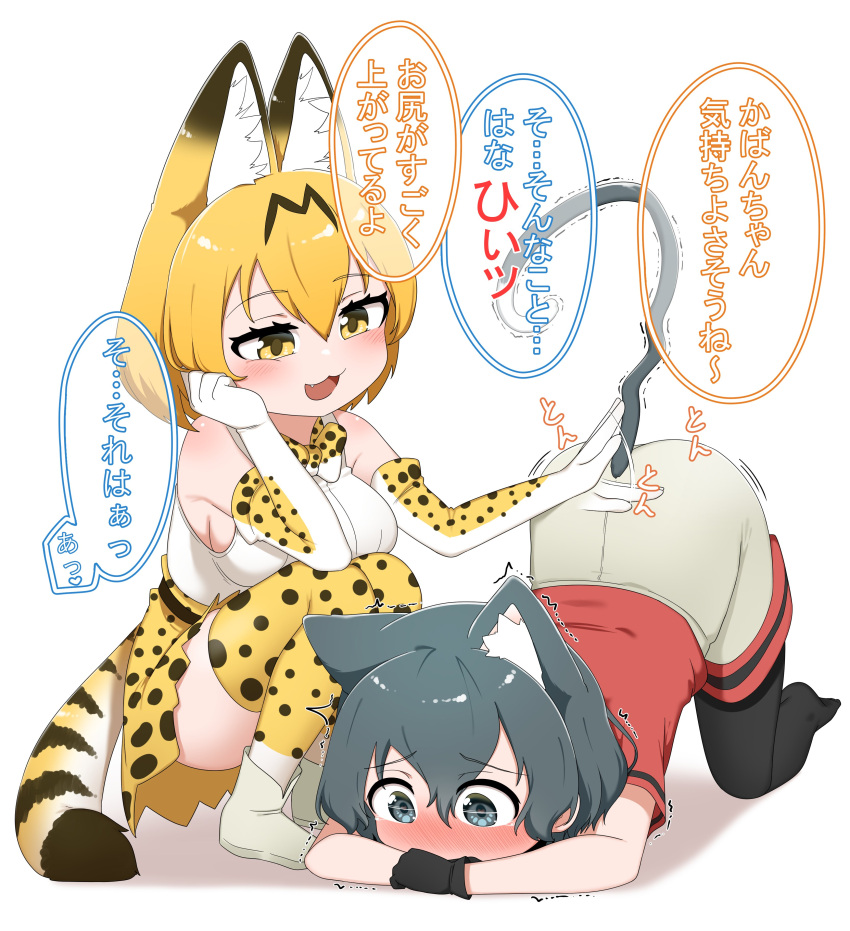 2girls :3 absurdres all_fours animal_ears bare_shoulders black_gloves black_hair black_pantyhose blonde_hair blue_eyes blush cat_ears cat_girl cat_tail chis_(js60216) commentary_request elbow_gloves extra_ears fang gloves grey_shorts high-waist_skirt highres kaban_(kemono_friends) kemono_friends kemonomimi_mode multiple_girls no_shoes pantyhose print_gloves print_skirt print_thighhighs red_shirt serval_(kemono_friends) serval_print shirt short_hair short_sleeves shorts skirt sleeveless squatting t-shirt tail translated white_shirt yellow_eyes zettai_ryouiki