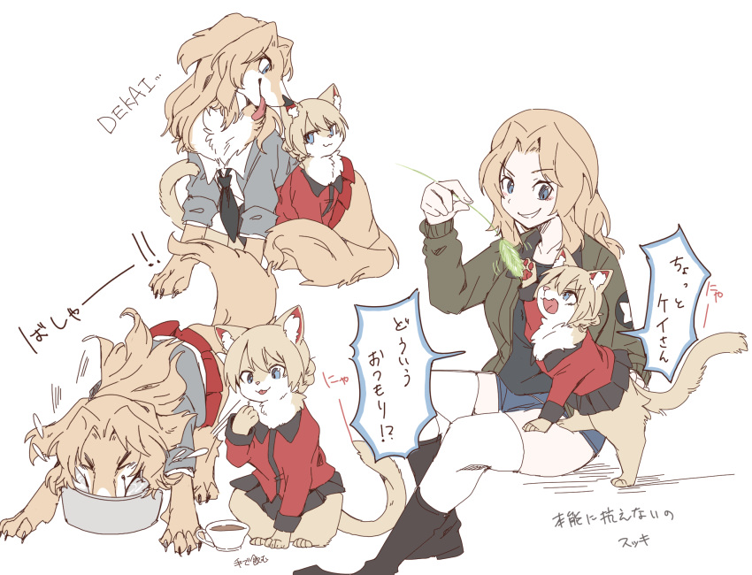 1girl animalization bangs black_footwear black_shirt black_skirt blonde_hair blue_eyes blue_shorts boots braid brown_jacket cat cat_teaser closed_mouth commentary cup darjeeling_(girls_und_panzer) dog eating emblem fang frown girls_und_panzer hair_intakes hasekura_(hachinochun) highres holding jacket kay_(girls_und_panzer) looking_at_another medium_hair motion_lines open_clothes open_jacket open_mouth pleated_skirt red_jacket romaji_text saunders_military_uniform saunders_school_uniform school_uniform shirt short_hair short_shorts shorts simple_background sitting skirt smile smirk st._gloriana's_military_uniform standing star_(symbol) tea teacup thigh-highs tongue tongue_out translated white_background white_thighhighs