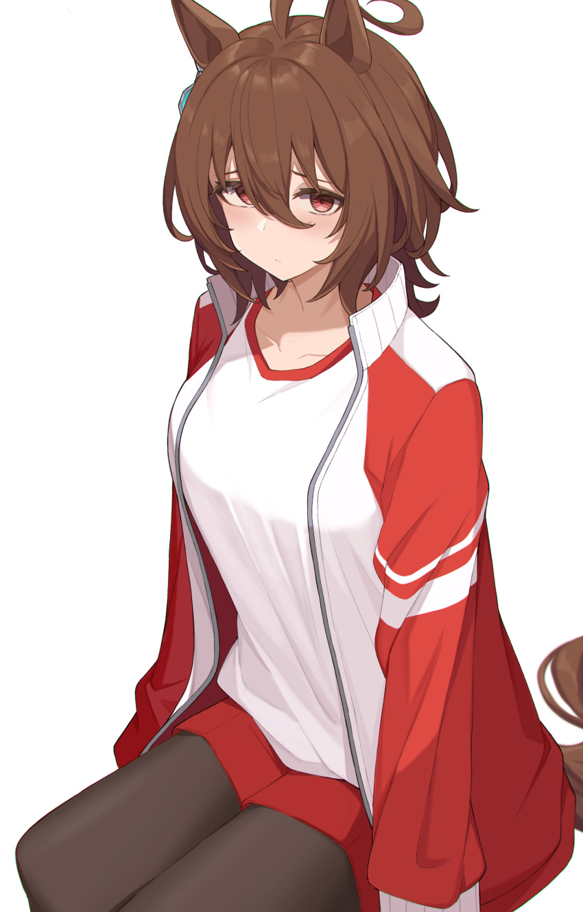 1girl absurdres agnes_tachyon_(umamusume) ahoge black_pantyhose brown_hair gym_shirt highres horse_girl horse_tail jacket looking_at_viewer messy_hair nagaburo_imoni open_clothes open_jacket pantyhose red_eyes red_shorts shirt short_hair shorts simple_background sitting solo tail tracen_training_uniform track_jacket umamusume white_background white_shirt