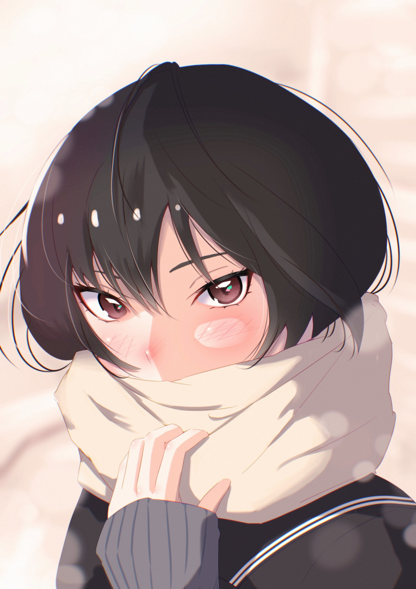 1girl adjusting_scarf amagami bangs black_cardigan black_hair black_sailor_collar blurry blush bokeh borrowed_garments brown_eyes cardigan close-up commentary covered_mouth depth_of_field enpera eyelashes grey_sweater hair_between_eyes hair_strand hand_up highres kibito_high_school_uniform looking_at_viewer nanasaki_ai nose_blush oshizu portrait sailor_collar scarf school_uniform short_hair solo sweater white_scarf