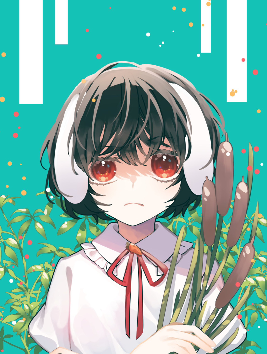 1girl animal_ears bangs black_hair blue_background cattail closed_mouth commentary_request flat_chest floppy_ears frilled_shirt_collar frills frown grass highres holding inaba_tewi looking_at_viewer neck_ribbon plant portrait rabbit_ears rabbit_girl raised_eyebrow red_eyes red_ribbon ribbon shirt short_hair solo toraneko_2 touhou white_shirt
