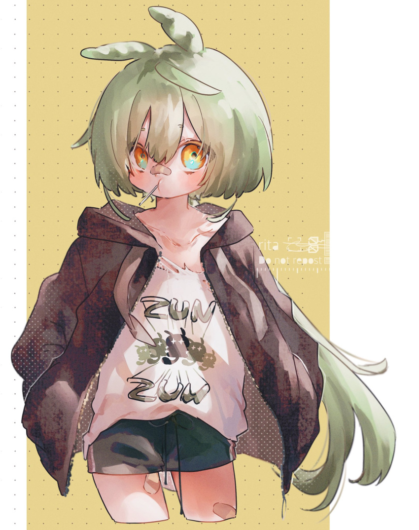 1boy bandaid bandaid_on_face bandaid_on_leg bandaid_on_nose candy closed_mouth clothes_writing commentary food food_in_mouth genderswap genderswap_(ftm) green_hair hair_between_eyes hands_in_pockets highres jacket lollipop long_hair low_ponytail multicolored_eyes open_clothes open_jacket rt26 shorts torn_clothes voiceroid voicevox zundamon