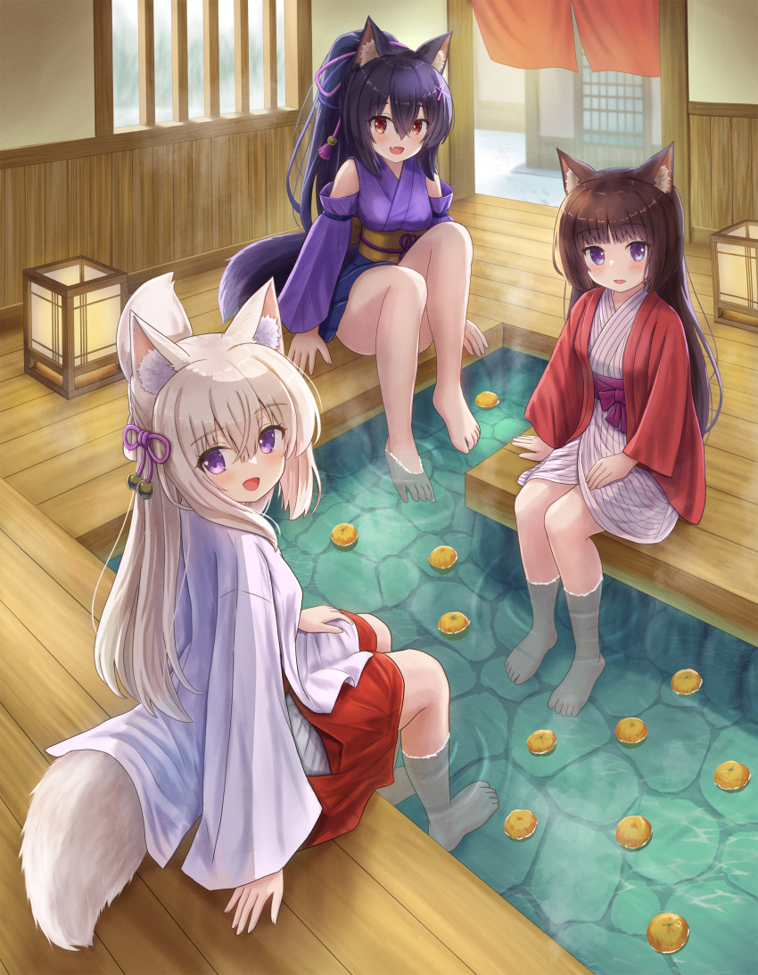 3girls :d absurdres animal_ear_fluff animal_ears bangs bare_legs bare_shoulders barefoot black_hair blue_eyes blue_skirt breasts brown_eyes brown_hair cat_ears commentary_request day folded_ponytail food fox_ears fox_girl fox_tail fruit hair_between_eyes hakama hakama_skirt highres indoors iroha_(iroha_matsurika) japanese_clothes kimono koyoi_(iroha_(iroha_matsurika)) kunoichi-chan_(iroha_(iroha_matsurika)) lantern long_sleeves looking_at_viewer medium_breasts miko multiple_girls mutsuki_(iroha_(iroha_matsurika)) obi open_clothes original ponytail purple_kimono red_hakama sash skirt sleeveless sleeveless_kimono smile soaking_feet striped striped_kimono tail vertical-striped_kimono vertical_stripes violet_eyes water white_kimono wide_sleeves wolf_ears wolf_girl wolf_tail yuzu_(fruit) yuzu_bath