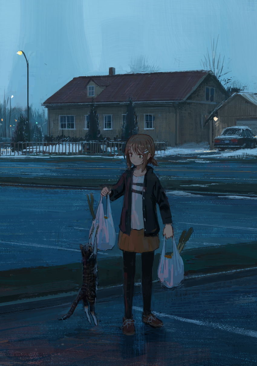 1girl absurdres bag bangs black_jacket black_leggings brown_hair bush car cat closed_mouth collarbone dusk fence full_body garage grey_eyes ground_vehicle hair_ornament hairclip hanging highres holding holding_bag house jacket lamppost leggings light_blush looking_at_another low_ponytail motor_vehicle open_clothes open_jacket orange_skirt original overcast parking_lot pleated_skirt scenery shion_(mirudakemann) shirt shoes shopping_bag short_hair short_ponytail skirt sneakers snow solo spring_onion swept_bangs tree white_shirt winter
