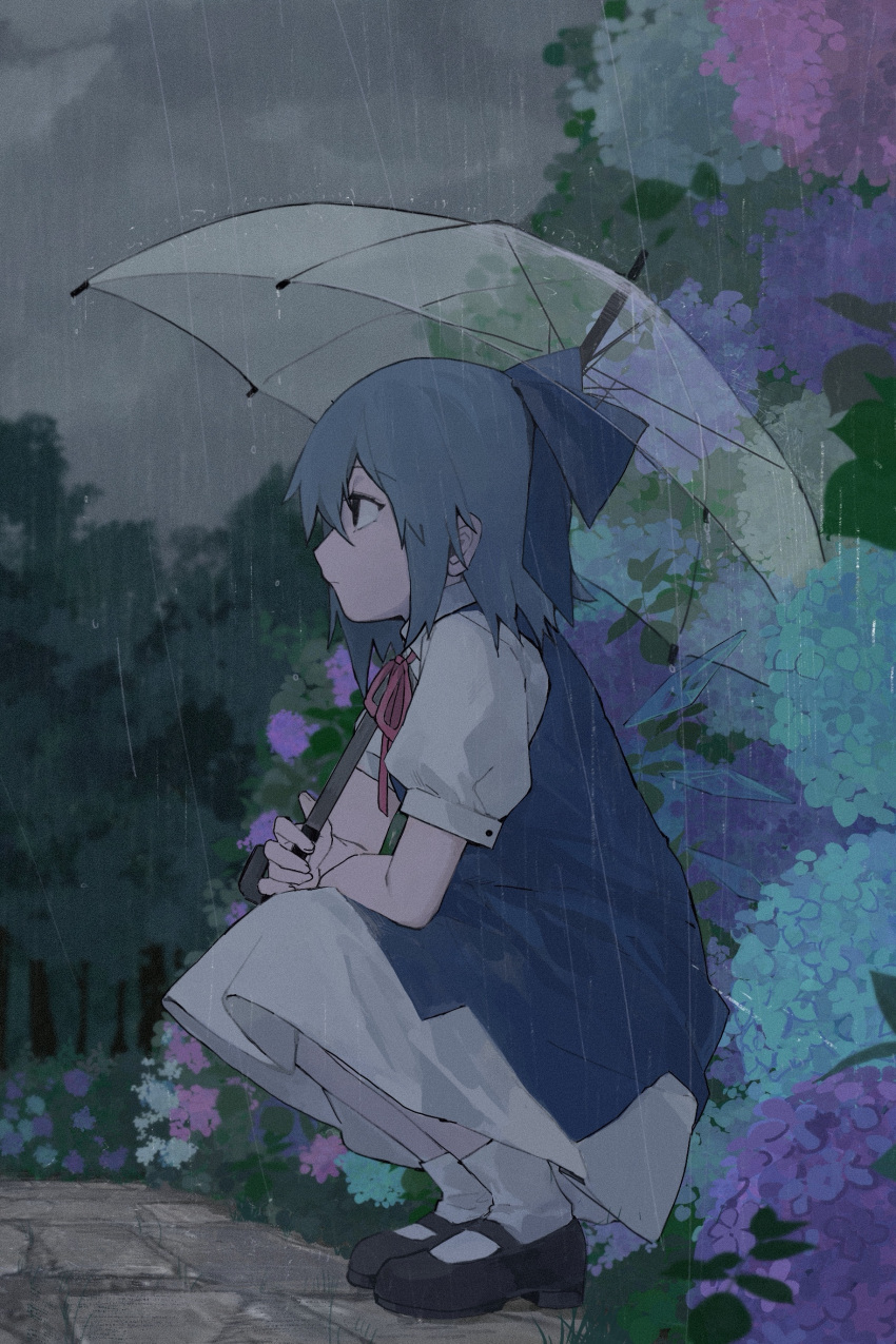 1girl :| absurdres black_footwear blue_bow blue_dress blue_eyes blue_flower blue_hair bow cirno closed_mouth dress expressionless flower forest full_body hair_bow highres holding holding_umbrella hydrangea looking_ahead mary_janes nature outdoors overcast path profile puffy_short_sleeves puffy_sleeves purple_flower rain shirt shoes short_hair short_sleeves sleeve_cuffs socks solo squatting touhou transparent transparent_umbrella umbrella violet_(qs312556616) white_shirt white_socks