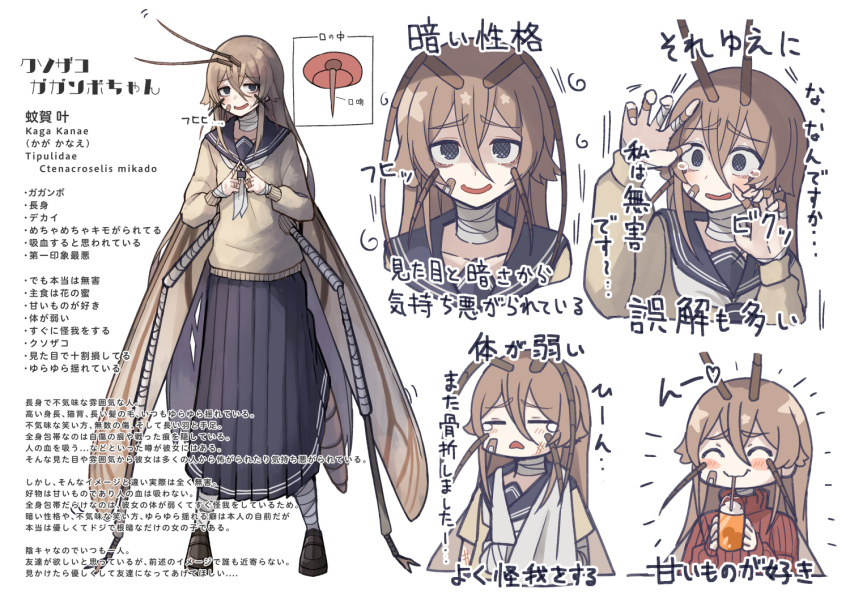 1girl =_= ^_^ antennae arm_sling arthropod_girl bandaged_arm bandaged_neck bandages bandaid bandaid_on_cheek bandaid_on_face bandaid_on_hand black_eyes blue_sky blush_stickers brown_hair closed_eyes commentary_request d: index_fingers_together insect_wings long_hair long_skirt looking_at_viewer monster_girl multiple_views original plan_(planhaplalan) pleated_skirt red_sweater ribbed_sweater sailor_collar scared simple_background skirt sky sweater tears translation_request turtleneck turtleneck_sweater white_background wings