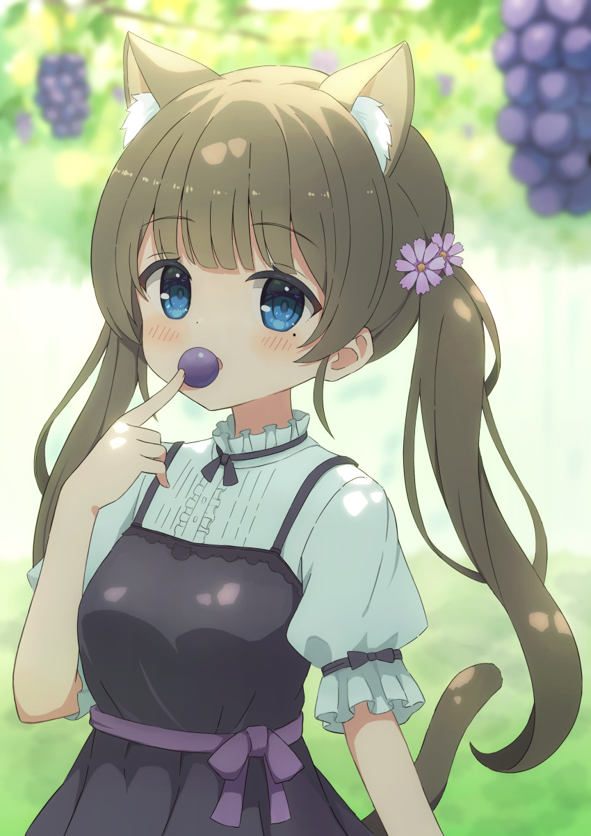 1girl absurdres animal_ears bangs blue_eyes blurry blurry_background blush brown_hair cat_ears cat_girl cat_tail dappled_sunlight dress eating flower food frilled_sleeves frills fruit grapes hair_flower hair_ornament highres index_finger_raised indie_virtual_youtuber itigori_ena long_hair looking_at_viewer mole mole_under_eye neck_ribbon open_mouth outdoors puffy_short_sleeves puffy_sleeves ribbon sash short_sleeves sleeve_ribbon solo sunlight tail tree twintails tyakomis very_long_hair virtual_youtuber