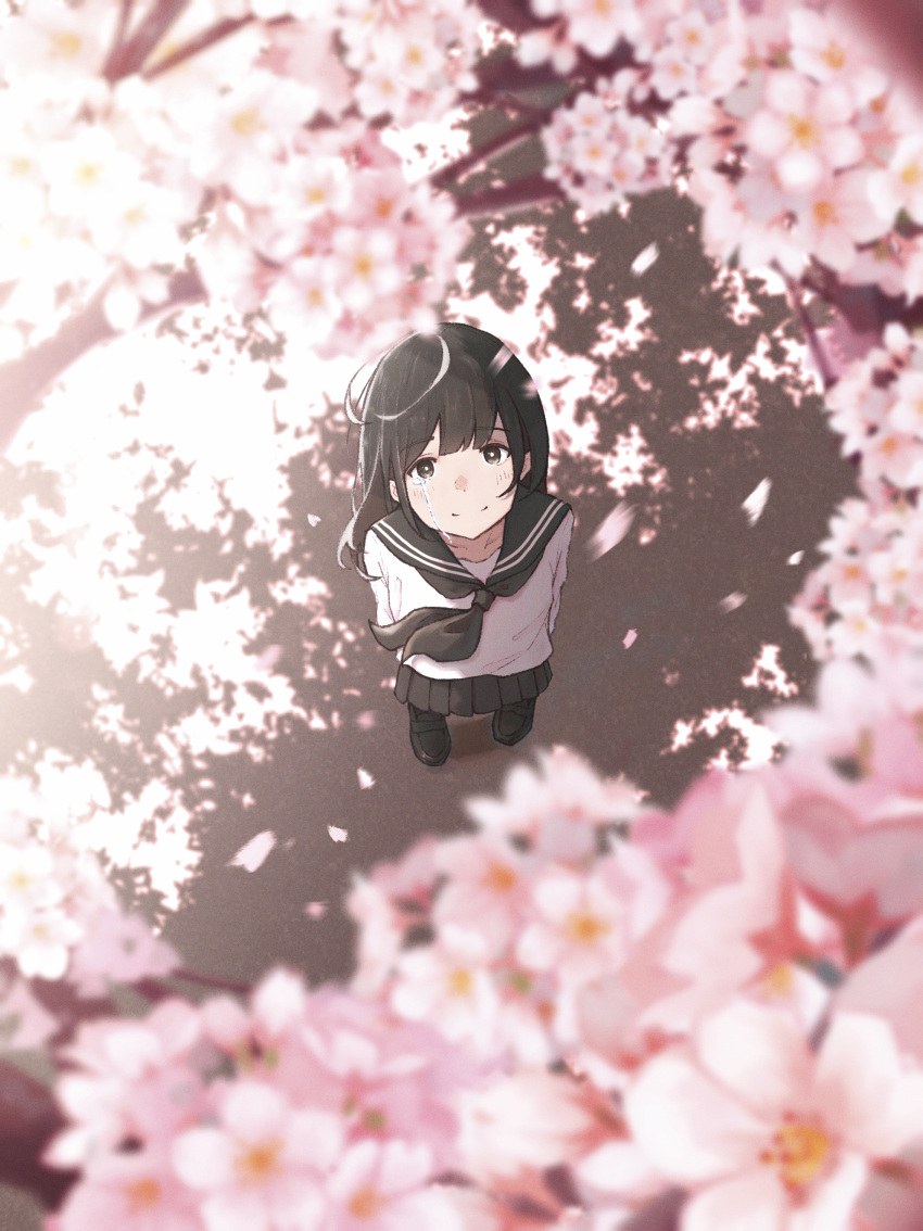 1girl absurdres arms_behind_back bangs black_eyes black_hair black_sailor_collar black_skirt cherry_blossoms commentary_request cover crying crying_with_eyes_open from_above highres long_hair long_sleeves looking_at_viewer looking_up official_art oka_kojiro original pleated_skirt sailor_collar scenery school_uniform serafuku skirt smile solo standing streaming_tears tears uniform