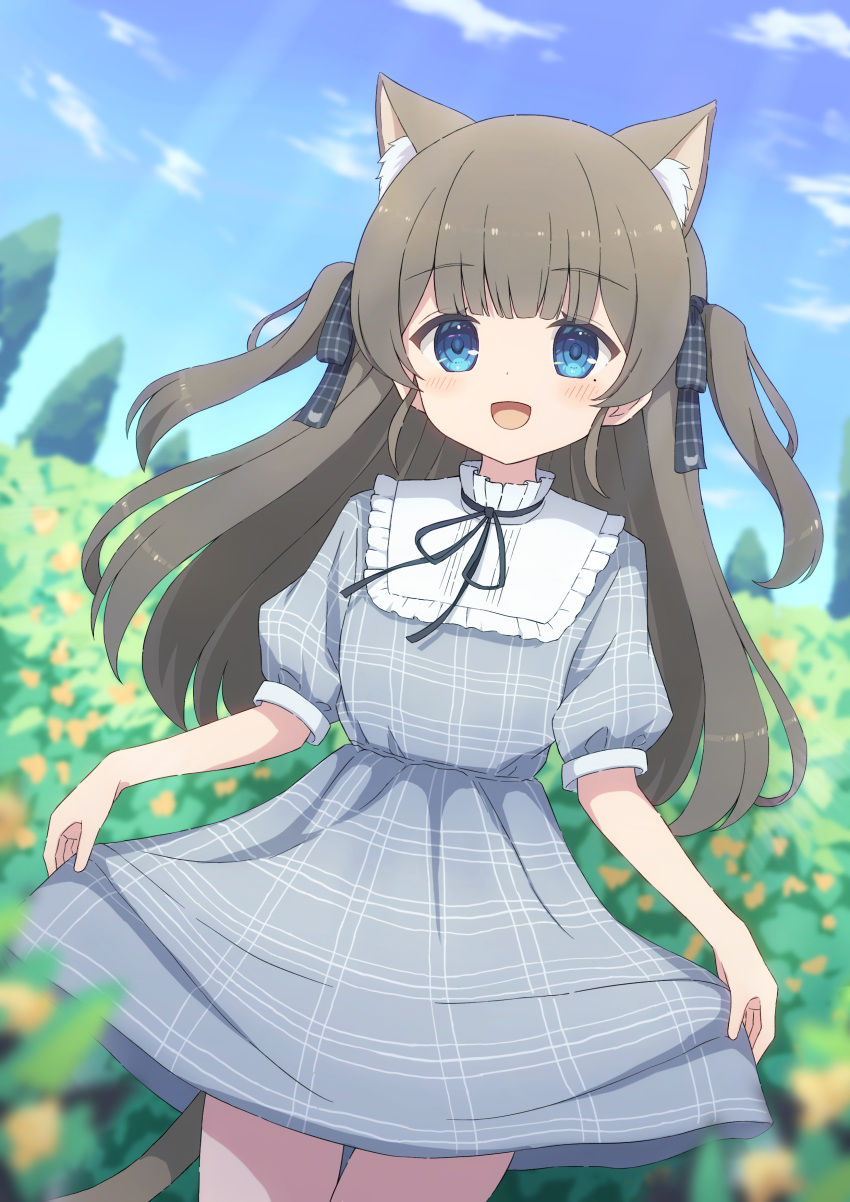 1girl absurdres animal_ears animal_print bangs blue_eyes blush brown_hair cat_ears cat_girl cat_print cat_tail dress field flower frilled_shirt_collar frills hair_ribbon highres indie_virtual_youtuber itigori_ena long_hair looking_at_viewer mole mole_under_eye neck_ribbon open_mouth outdoors plaid plaid_dress plaid_ribbon ribbon short_sleeves skirt_hold sky solo tail tree two_side_up tyakomis very_long_hair virtual_youtuber