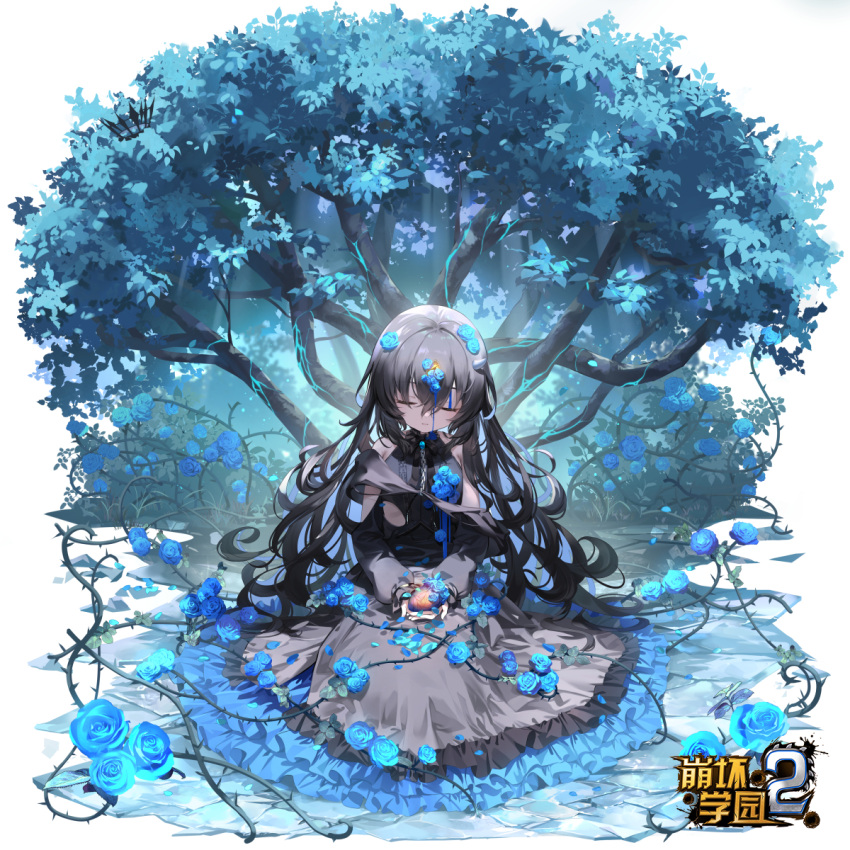 1girl bangs benghuai_xueyuan black_dress black_hair blue_flower blue_hair blue_rose blue_theme character_request chen_bin closed_eyes closed_mouth colored_inner_hair commentary_request curly_hair dress facing_viewer flower frilled_dress frills highres holding honkai_(series) logo long_hair long_sleeves multicolored_hair nature official_art plant rose sitting sleeveless sleeveless_dress solo stone_floor translation_request tree two-tone_hair vines white_background