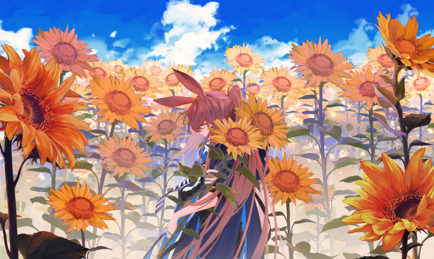 1girl absurdres amiya_(arknights) animal_ears arknights black_jacket blue_eyes blue_jacket blue_sky brown_hair clouds day duang field fingerless_gloves flower flower_field from_side gloves highres holding holding_flower jacket jewelry long_hair long_sleeves multicolored_clothes multicolored_jacket multiple_rings outdoors ponytail rabbit_ears rabbit_girl ring scenery single_glove sky solo sunflower two-tone_jacket very_long_hair wide_shot