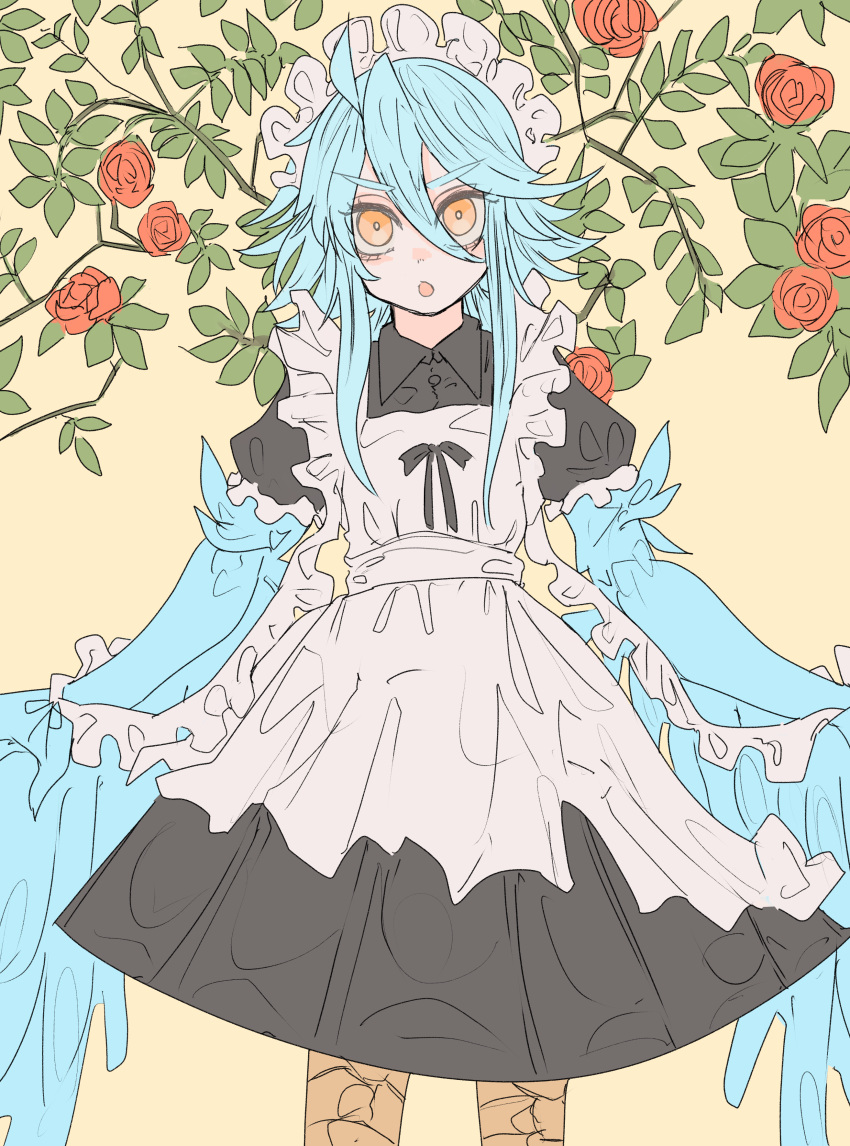 1girl absurdres ahoge alternate_costume bangs bird_legs blue_hair blue_wings commentary_request enmaided feathered_wings feathers flower hair_between_eyes harpy highres long_hair looking_at_viewer maid maid_headdress messy_hair monster_girl monster_musume_no_iru_nichijou nebula_flabby open_mouth papi_(monster_musume) red_flower red_rose rose sidelocks solo winged_arms wings yellow_background yellow_eyes