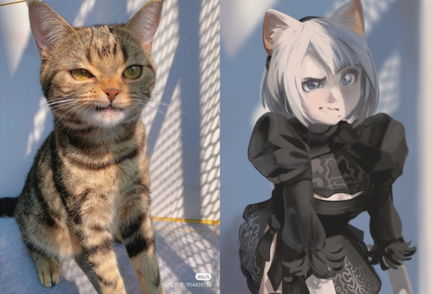 1girl animal_ears black_hairband blue_eyes cat cat_ear_hairband cat_ears cleavage_cutout closed_mouth clothing_cutout dana_(ocana_dana) feather-trimmed_sleeves hairband highres juliet_sleeves long_sleeves looking_at_viewer mole mole_under_mouth nier:automata nier_(series) photo-referenced puffy_sleeves raised_eyebrow reference_photo shadow short_hair white_hair yorha_no._2_type_b