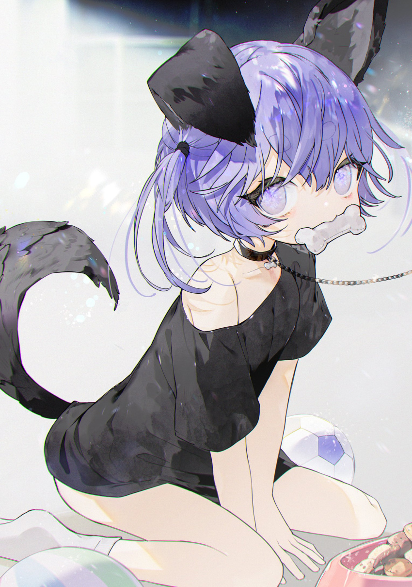 1girl animal_collar animal_ears ball between_legs black_shirt blue_eyes blue_hair bowl cartoon_bone chain chain_leash child collar cookie dog_ears dog_girl dog_tail female_child food hand_between_legs highres komeko_meko_(mecolate) leash looking_at_viewer mouth_hold off_shoulder original pet_bowl shirt short_hair short_sleeves sitting soccer_ball socks tail thick_eyebrows wariza white_socks