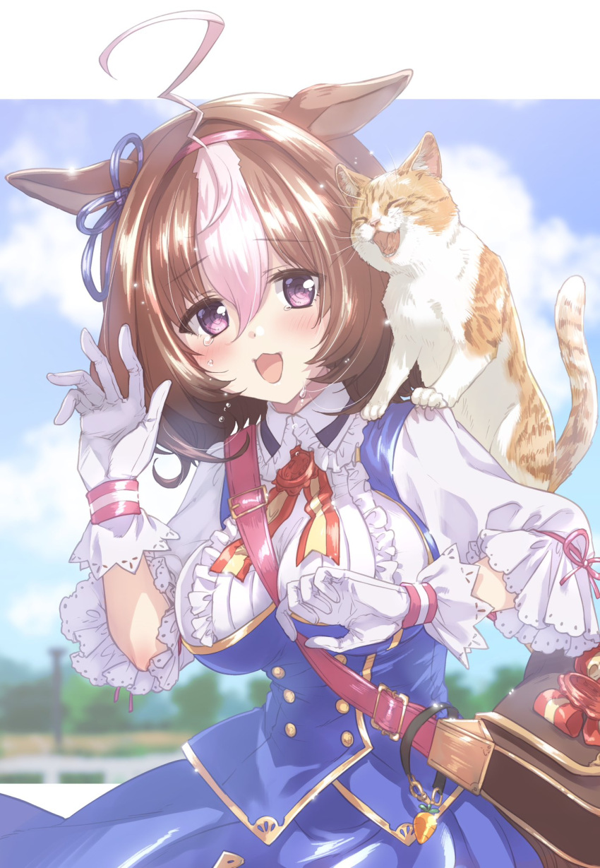 1girl ahoge animal_ears animal_on_shoulder bag blurry blurry_background blush breasts cat commentary_request gloves headband highres horse_ears horse_girl kuroi_mimei large_breasts meisho_doto_(umamusume) meto_(cat) open_mouth satchel sky solo tears umamusume violet_eyes