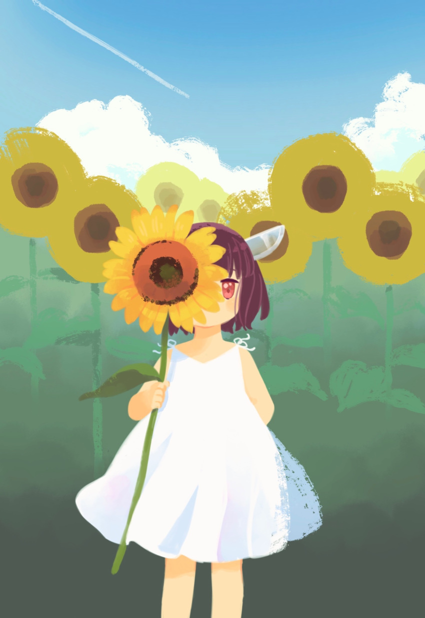 1girl alternate_costume arm_behind_back bangs blade blue_sky blunt_bangs brown_hair clouds contrail covering_face day dress feet_out_of_frame field flower flower_field flower_over_eye hand_up headgear highres holding holding_flower light_blush looking_at_viewer miyuto no_lineart outdoors red_eyes short_hair sky sleeveless sleeveless_dress solo standing summer sundress sunflower touhoku_kiritan voiceroid white_dress wind