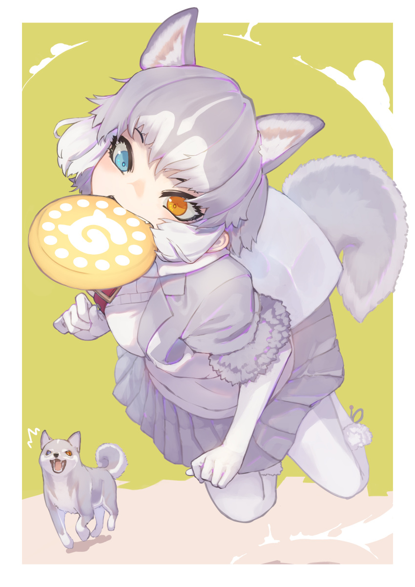 1girl absurdres animal_ears blue_eyes commentary_request creature_and_personification dog dog_(mixed_breed)_(kemono_friends) dog_ears dog_girl dog_tail don3 elbow_gloves extra_ears fang frisbee fur_trim gloves grey_fur grey_jacket grey_skirt harness heterochromia highres jacket japari_symbol jumping kemono_friends midair pantyhose pleated_skirt short_sleeves skirt solo tail teeth vest white_gloves white_pantyhose white_vest yellow_eyes