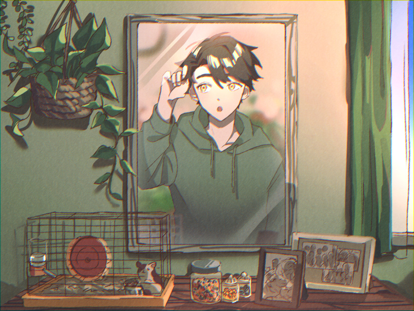 1boy animal bangs black_hair bottle cage commentary_request container curtains day drawstring green_hoodie hair_between_eyes hamster hamster_wheel hand_in_own_hair hanging_plant highres hood hood_down hoodie indoors jar kagerou_project leaf long_sleeves looking_at_mirror looking_to_the_side male_focus mekakucity_actors mirror mokemoke_chan open_mouth pet_food photo_(object) picture_frame plant portrait potted_plant seto_kousuke short_hair solo upper_body window yellow_eyes