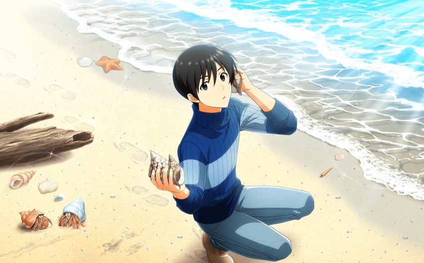 1boy beach black_eyes black_hair blue_sweater crab footprints fuyumi_jun highres holding holding_shell idolmaster idolmaster_side-m idolmaster_side-m_live_on_stage! official_art pants parted_lips sand seashell shell shoes shore starfish sweater