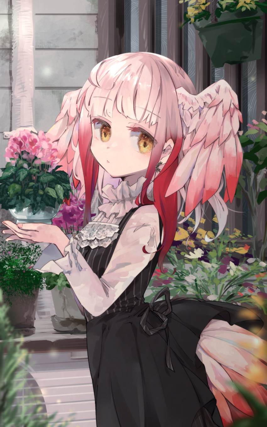 1girl alternate_costume back_bow bangs bird_girl bird_tail bird_wings black_dress blush bouquet bow casual collar commentary_request dress earrings flower frilled_collar frilled_sleeves frills head_wings highres holding holding_bouquet japanese_crested_ibis_(kemono_friends) jewelry kemono_friends long_sleeves looking_at_viewer multicolored_hair nail_polish nanana_(nanana_iz) pink_nails redhead shirt short_hair sidelocks solo tail white_hair white_shirt wings yellow_eyes