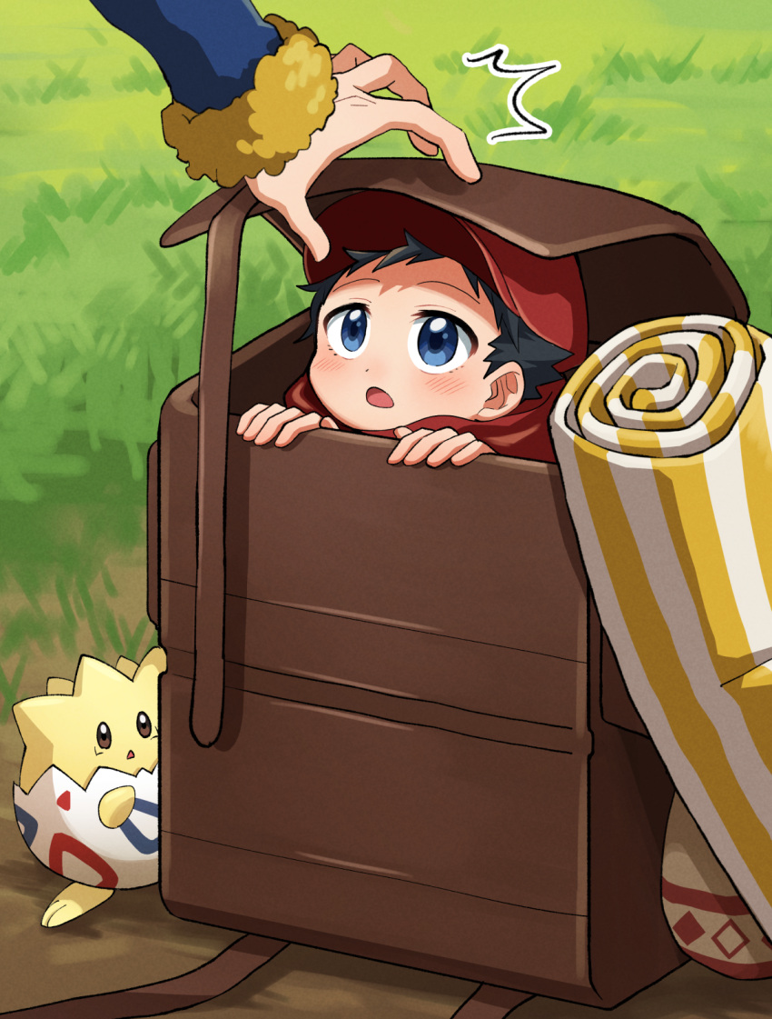 2boys :o backpack bag black_hair blue_eyes blue_jumpsuit blush brown_bag commentary_request day futako_(gemini_ds) grass hands_up hat highres in_bag in_container jumpsuit long_sleeves looking_up male_focus multiple_boys open_mouth outdoors pokemon pokemon_(creature) pokemon_(game) pokemon_legends:_arceus red_headwear red_scarf rei_(pokemon) scarf short_hair togepi volo_(pokemon)