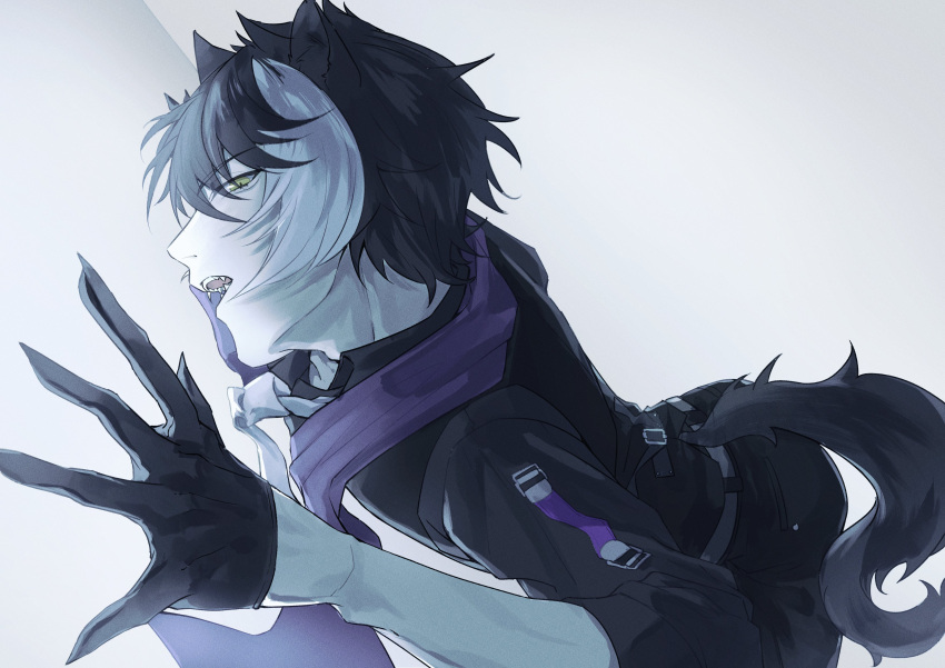 1boy absurdres akaie11 animal_ears belt black_belt black_gloves black_hair black_pants black_shirt black_vest collared_shirt cowboy_shot fangs fingernails gloves hair_between_eyes half_gloves highres holostars jackal_boy jackal_ears jackal_tail kageyama_shien looking_at_viewer lying male_focus multicolored_hair necktie on_stomach open_collar pants profile sharp_fingernails shirt short_hair sideways_glance simple_background sleeves_rolled_up solo stole tail two-tone_hair vest virtual_youtuber white_background white_hair white_necktie yellow_eyes