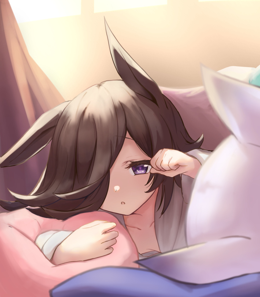 2girls animal_ears black_hair blurry blurry_foreground commentary depth_of_field grey_shirt hair_over_one_eye half-closed_eyes highres horse_ears horse_girl indoors long_hair long_sleeves lying mejiro_mcqueen_(umamusume) morning multiple_girls omochi_inu_nekobako on_bed on_stomach open_mouth out_of_frame pajamas pillow purple_hair rice_shower_(umamusume) shirt sleepy sunlight umamusume under_covers violet_eyes window