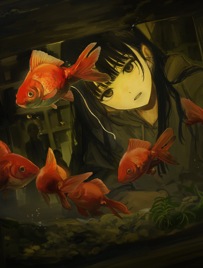 1boy absurdres androgynous bangs black-haired_boy_(iwzry) black_hair blunt_bangs bubble commentary_request fish fish_tank funabashi_(iwzry) goldfish grey_eyes grey_hoodie hand_in_own_hair highres hood hoodie long_hair long_sleeves male_focus original parted_lips poop rock silhouette solo_focus upper_body water