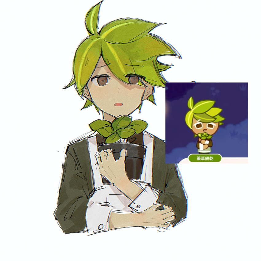 1boy akasasachii apron brown_eyes brown_shirt cookie_run cookie_run:_kingdom green_hair herb_cookie highres humanization long_sleeves looking_at_viewer open_mouth plant plant_hair potted_plant shirt simple_background sleeve_cuffs solo white_apron white_background