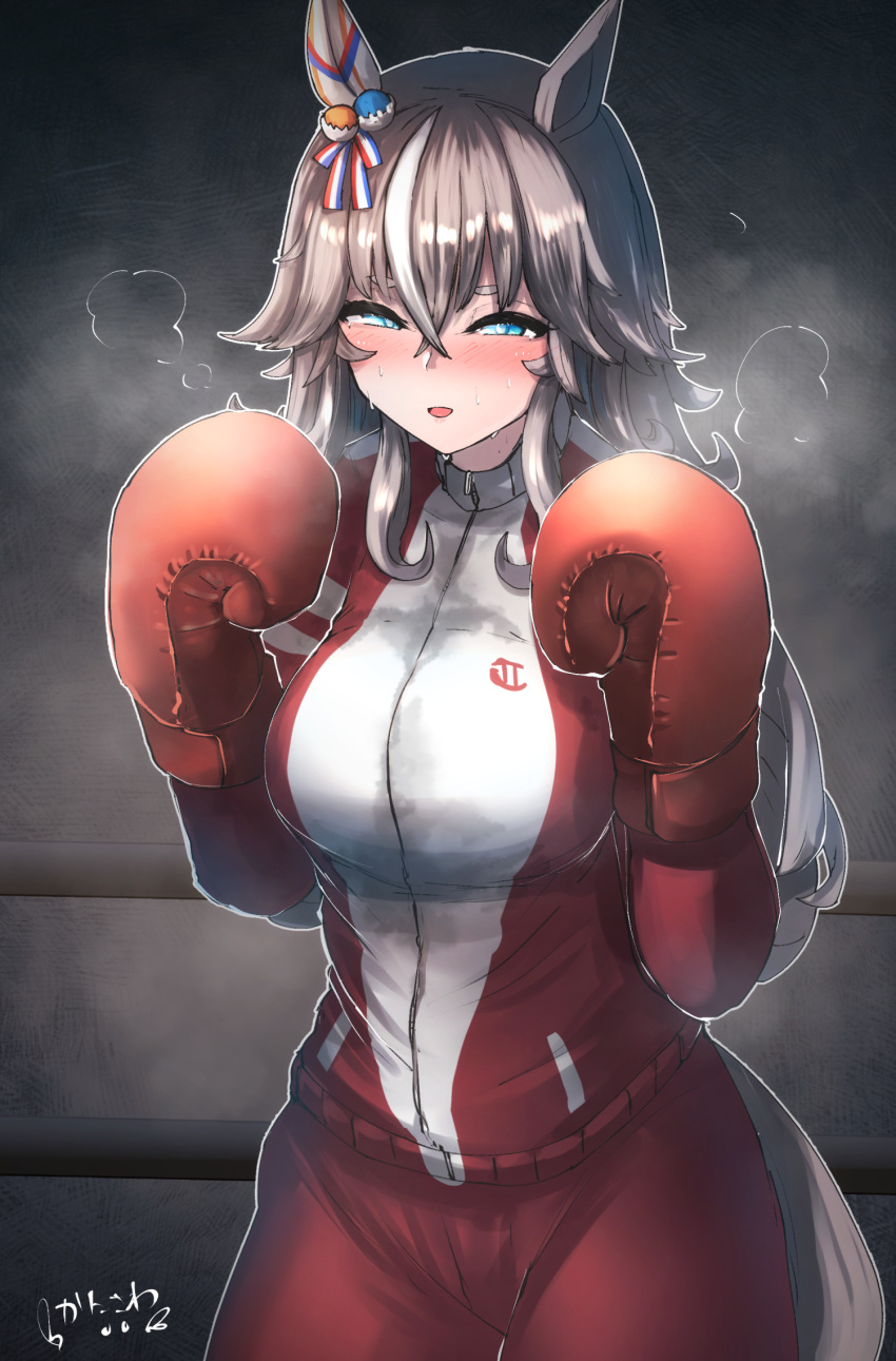 1girl alternate_costume animal_ears blue_eyes blush boxing_gloves breasts commission dark_background grey_hair gym_uniform hair_between_eyes heavy_breathing highres horse_ears horse_tail kanikama25 long_hair looking_at_viewer medium_breasts skeb_commission solo sweat tail thick_eyebrows track_suit umamusume wonder_acute_(umamusume)